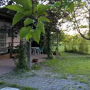 Rose Canine , Cesenatico Italia
